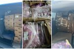 Митничари откриха 1,5 тона пилешко месо, натъпкано в микробус