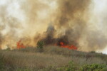 Голям пожар пламна между селата Драгомир и Мало Крушево