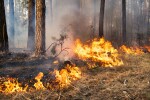 Извънредно положение в Македония заради пожарите