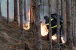 Пожарът над Кресна настъпва: Евакуираха застрашеното село Влахи