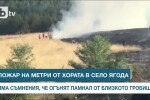 Пожар на метри от хората край село Ягода (ВИДЕО)