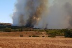 Пожар избухна в гора между новозагорските села Еленово и Сокол (ВИДЕО)