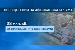 Отпускат 28 млн. лева за обезщетения и разходи за борба с чумата по свинете