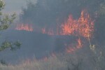 Горският пожар в Сакар е локализиран (ОБЗОР)