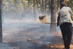 Голям горски пожар в района на Свиленград