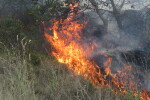 Два пожара горят в област Стара Загора