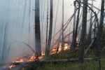 Обявиха частично бедствено положение заради пожара в село Югово