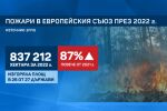 Пожарите са все по-мащабни – според експерти причината са климатичните промени