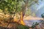 Пожар гори в землището на харманлийско село (СНИМКИ)