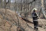 Пожарите в Гърция: Борбата продължава, помагат български пожарникари