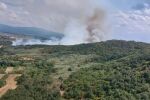 Пожар в борова гора в землището на село Михилци