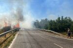 Голям пожар гори между Плевен и Русе (ОБНОВЕНА)