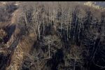 В Пирин гори върхово, пожарните екипи са били евакуирани (ВИДЕО)