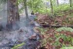 Пожарът в Пирин е под контрол, няма опасност за населените места (ВИДЕО)