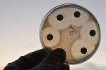 Кофеинът помага на бактериите E. coli да устоят на лечението с антибиотици