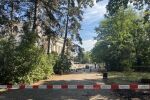 Откриха тяло в Борисовата градина край Националния стадион, районът е отцепен