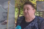 „Болката може да продължи с години“: Вирусолог за опасността от новия китайски вирус
