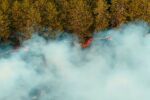 Фронтът на пожара в Сунгуларе - изключително широк, унищожени са 10 000 декара гори, ниви и лозя