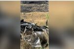 Мъж и жена загинаха, докато правят секс в автомобила си