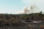 Пожарът в района на село Скала е овладян