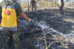 Едно от трите нови огнища в Пирин е потушено, второто създава опасност