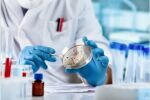 Нов вид лекарства имат потенциала да лекуват опасни гъбични инфекции