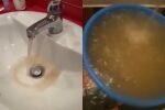 Какво пие Плевен: Сигнали за кална и мътна вода от чешмите 