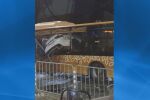 След като кола се вряза в автобус в София: Повдигнаха обвинение на шофьора в болницата