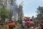 Има задържан за пожара във вилната зона на Българово