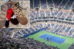 Напаст Божия: Луди по секса буболечки връхлитат US Open
