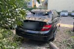 Буря в София повали дървета, има коли с щети (СНИМКИ, ВИДЕО)
