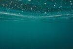 Можем ли плуваме в газирана вода?