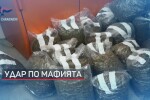 Арестите срещу мафията в Италия продължават 