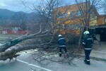 Бурен вятър във Враца нанесе щети на сгради и по улици 