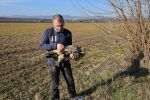 След токов удар: Откриха мъртъв царски орел в района на Горнотракийската низина