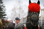 Празнуваме Тодоровден 