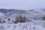 Завръщането на зимата през погледа на „Аз, репортерът“ (ГАЛЕРИЯ)