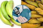 Какво се случва с кръвната ви захар, когато ядете определен вид банани