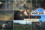 bTV Репортерите: Мисия - В света на мечките