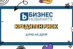 Дума на деня: Кредитен риск 