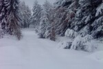 Блокирани в хижа Върховръх в Родопите са само хижарите (ОБНОВЕНА)