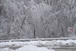 Отстраняват повреди в захранването с електричество в Северозападна България