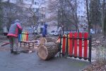 Голямо дърво падна върху детска площадка в София 