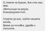 С искане за грипна ваканция: Ученици „атакуват“ кметове с рими и музика 