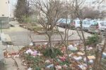 Торби за смет по дърветата – не е коледна украса: Вятърът разпиля отпадъците в кв. „Люлин“