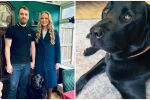 Двойка отменя сватбата си, за да плати лечението на кучето си (СНИМКИ)