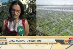 200 души остават без работа след опустошителната градушка в община Левски