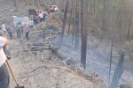 Пожарникари и доброволци гасят пожар в гората над село Ресилово