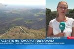 Пожарът край пазарджишките села вече е овладян