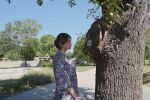 Родената като момче Петра Христова: Паркът в Горна Оряховица е пълен със стикери, провокиращи агресия